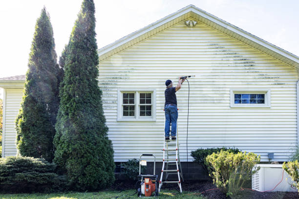 Best Driveway Pressure Washing  in Mino, CA